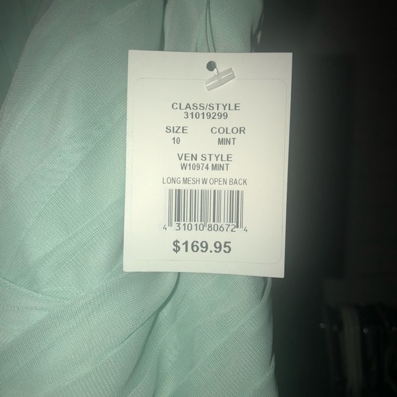 Mint Dress - Picture 4 of 5